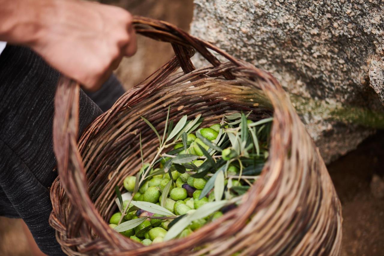 Hotel Cascioni Eco Retreat Arzachena Zewnętrze zdjęcie