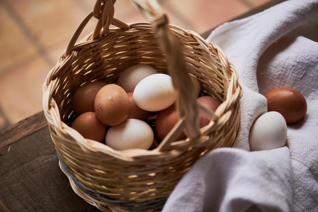 Hotel Cascioni Eco Retreat Arzachena Zewnętrze zdjęcie